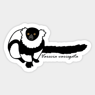 Kizzy B&W Ruffed Lemur w/ Sci name Sticker